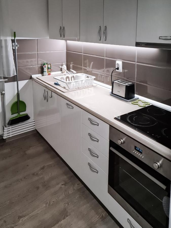 Apartament Alina Deva Bagian luar foto