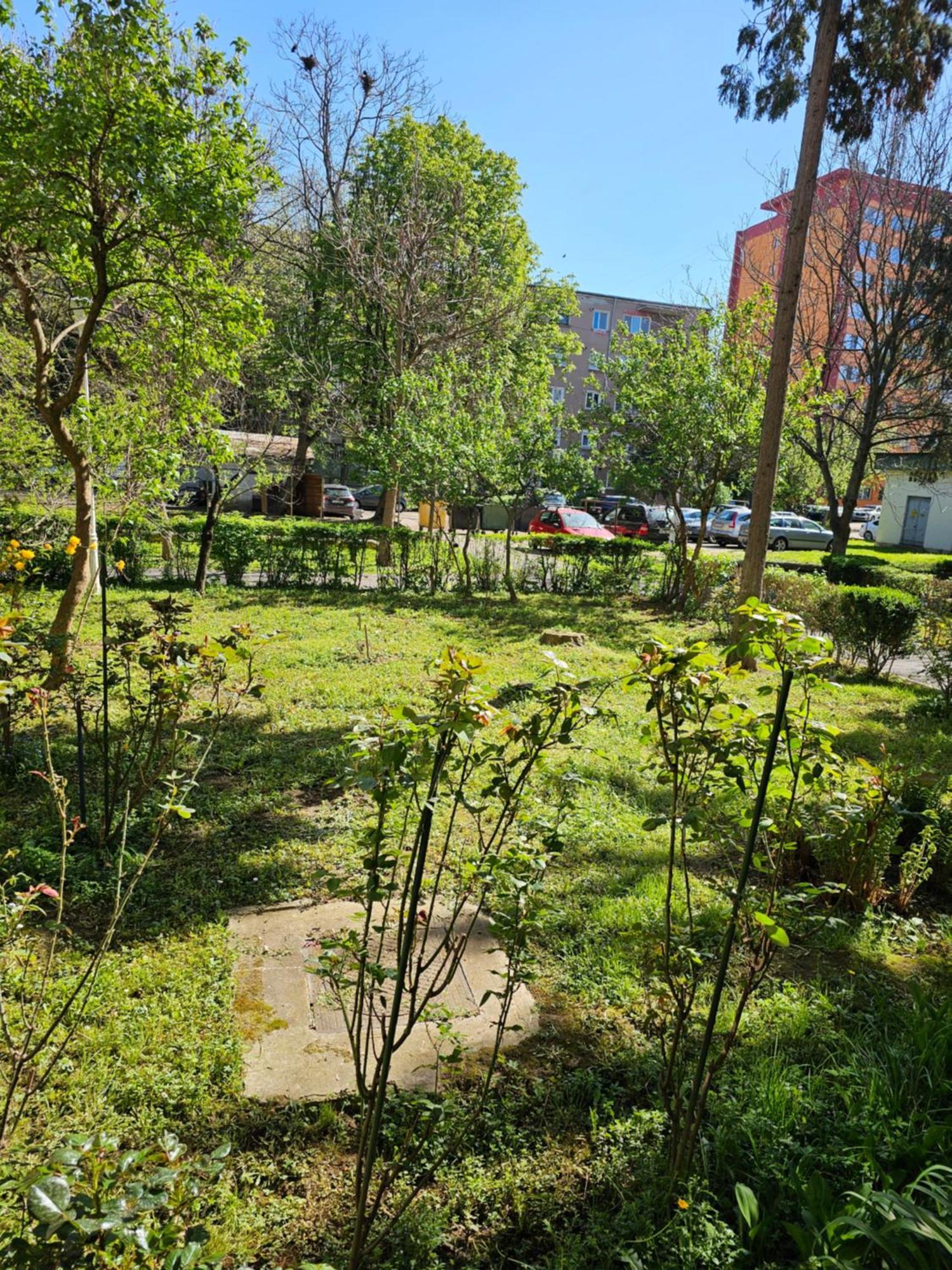 Apartament Alina Deva Bagian luar foto